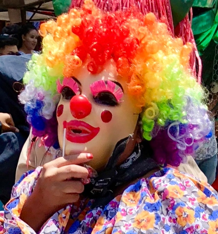 Cee's Flower of the Day Photo Challenge, , Nancy Merrills Photo Challenge, colors, rainbow colors, Photo of the Week,, challenges, contrasting colors, flags, clowns,
